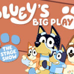 Bluey's Big Play Tuesday Show